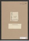 Synedra pulchella (Ralfs). Kuetz. (de-Toni-Nr.: Genus 66, Species 2582) Zeichnungen Sammlung Grunow Nr. 5162 (NHMW-BOT-W0373482)